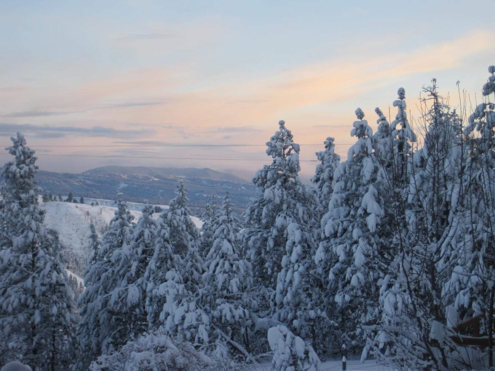 Whitebird Summit Lodge Grangeville Buitenkant foto