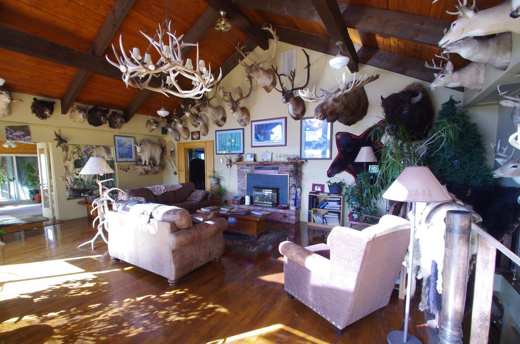 Whitebird Summit Lodge Grangeville Buitenkant foto