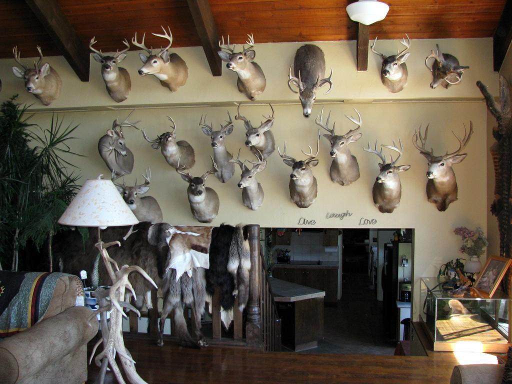 Whitebird Summit Lodge Grangeville Buitenkant foto