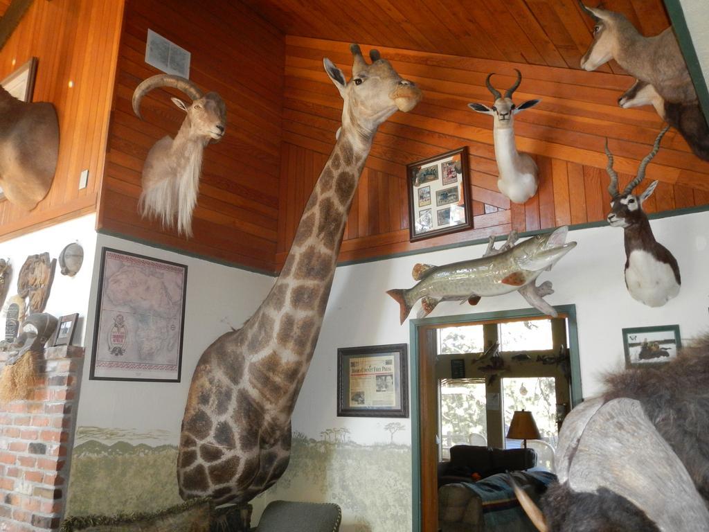 Whitebird Summit Lodge Grangeville Buitenkant foto