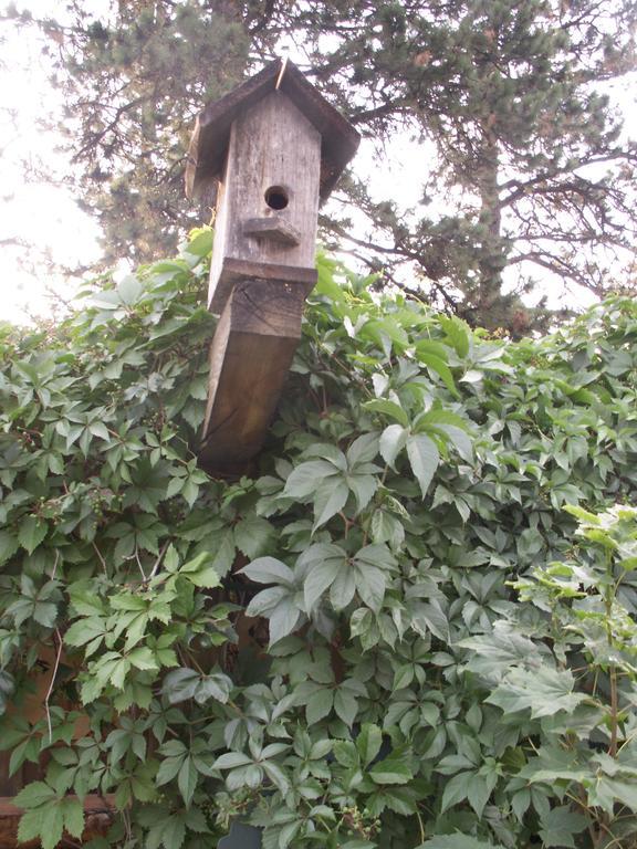 Whitebird Summit Lodge Grangeville Buitenkant foto